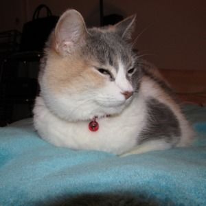 Meet your Posher, Chanteuse